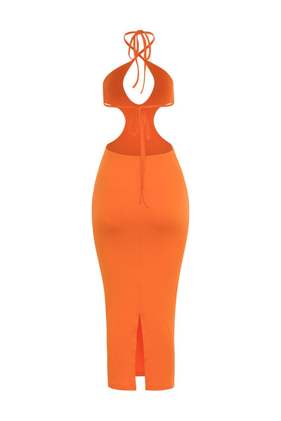 Raphia Backless Halter Dress - YG COLLECTION